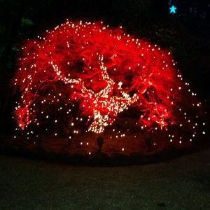 Meet your Posher, Vicki